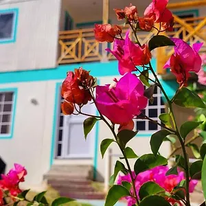 Colorful Garden House Alojamento de Acomodação e Pequeno-almoço
